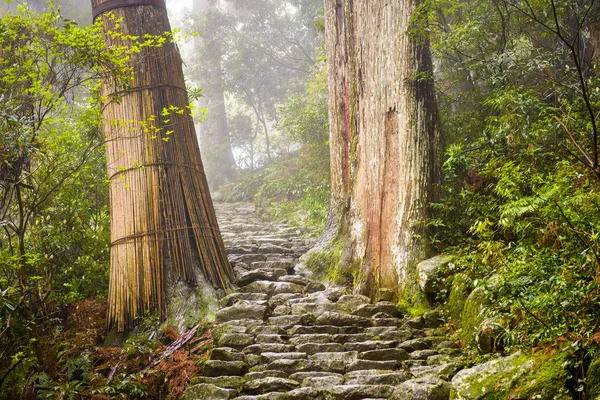 Sacred Trail in Japan — Stock Photo, Image
