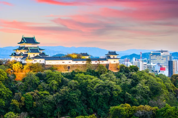 Wakajama hrad v Japonsku — Stock fotografie