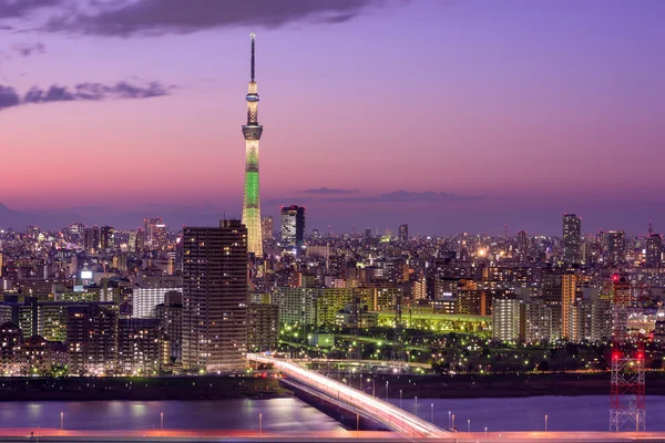 Panoramę Tokio, Japonia — Zdjęcie stockowe