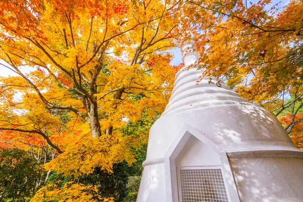 Autumn Pagoda in Kyoto Japan — Stock Photo, Image