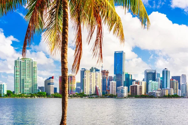 Skyline von Miami, Florida, — Stockfoto