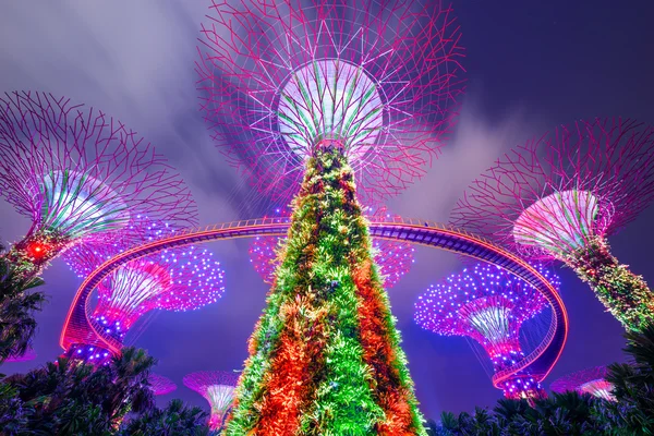 Singapore Super Trees — Stock Photo, Image