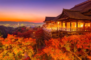 Kyoto Güz