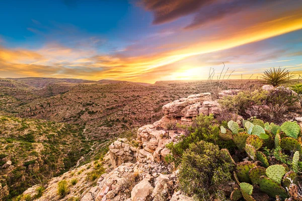 Carlsbad Cavern National Park Nuevo México Estados Unidos Con Vistas — Foto de Stock