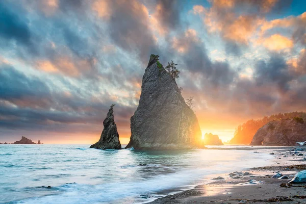 Olympic National Park Waszyngton Usa Przy Plaży Rialto Zachodzie Słońca — Zdjęcie stockowe