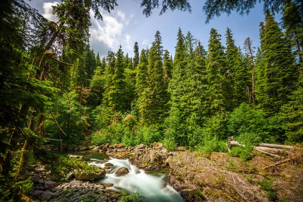 Sol Duc River Olympic National Park Washington Usa — Stockfoto