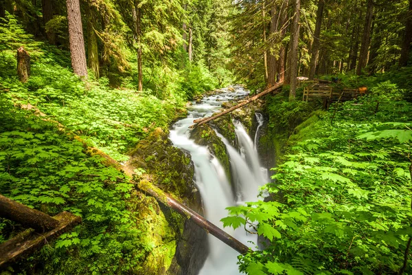 Sol Duc Falls Olympic National Park Washington Usa — Stockfoto