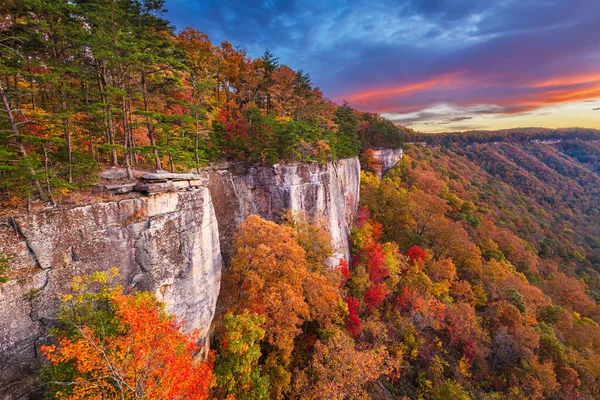 New River Gorge West Virginia Usa Herfstlandschap Aan Endless Wall — Stockfoto