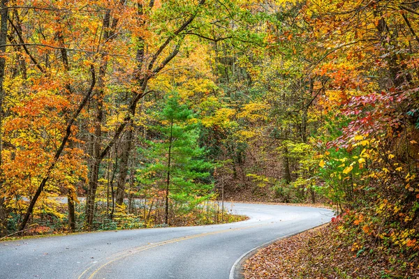 Herbstlaub Und Fahrbahn Der Nähe Von Helen Georgia Usa — Stockfoto