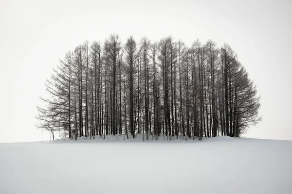 Biei Japan Winter Auf Der Panorama Road — Stockfoto