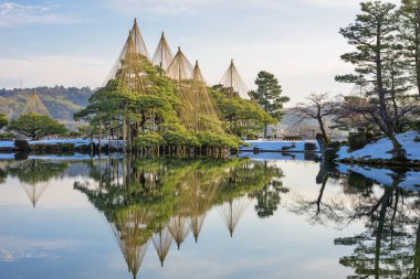 Kanazawa, Ishikawa, Japonya kışın şafağında Kenrokuen Bahçeleri 'nde.