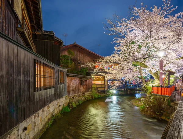 Kioto Japonia Nad Rzeką Shirakawa Podczas Wiosennego Sezonu Wiśniowego Nocy — Zdjęcie stockowe