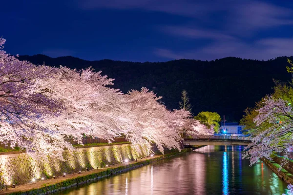 Kyoto Japan Okazakikanalen Våren Körsbärsblom Säsongen Natten — Stockfoto