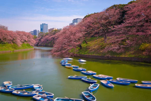 Tokyo Japan Chidorigafuchi Imperial Palace Moat Spring Season — Stock Photo, Image