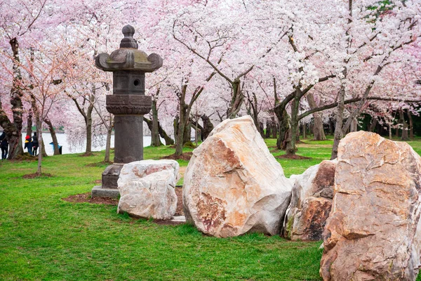 Linterna Japonesa West Potomac Park Alrededor Cuenca Marea Washington — Foto de Stock