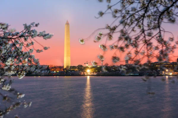 Washington Ηπα Στην Παλιρροιακή Λεκάνη Μνημείο Ουάσιγκτον — Φωτογραφία Αρχείου