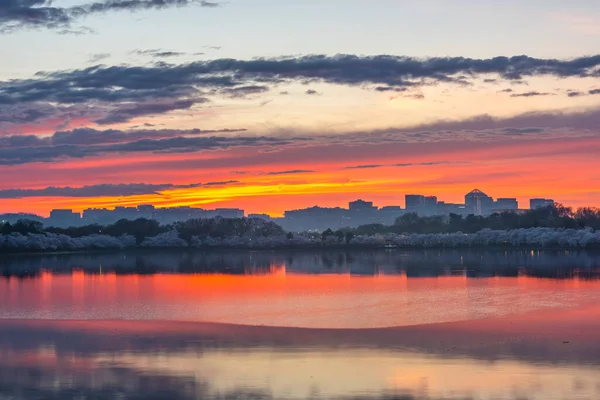 春の季節の間の夕暮れ時にワシントンDcの潮流流域から米国バージニア州アーリントンのRosslynの眺め — ストック写真