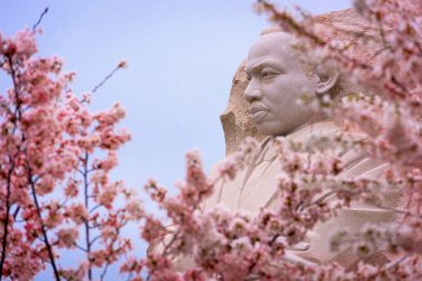 WASHINGTON - 8 Nisan 2015: Batı Potomac Park 'taki bahar sezonunda sivil haklar lideri Martin Luther King, Jr..
