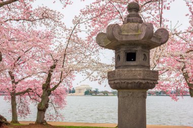 The Japanese Lantern at West Potomac Park around the Tidal Basin in Washington DC. clipart