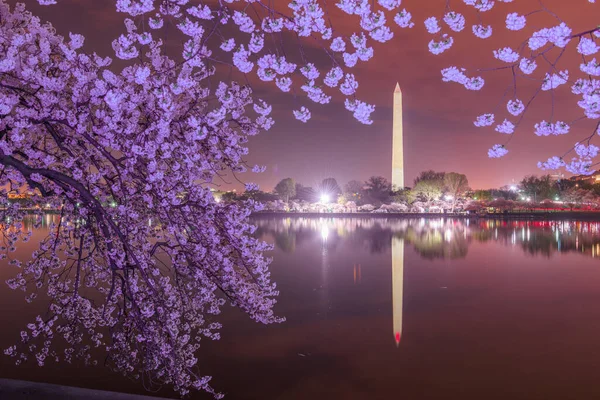 Washington Usa Gezeitenbecken Mit Washington Monument Frühling — Stockfoto