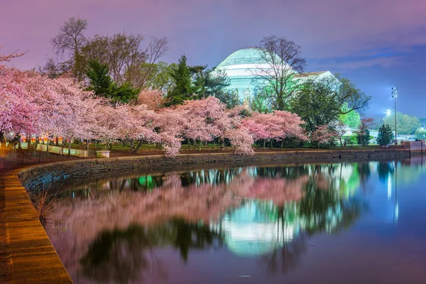 Washington Jefferson Memorial Printemps Depuis Bassin Des Marées — Photo