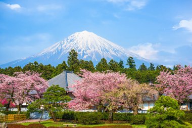 Fujinomiya, Shizuoka, Japonya ve Mt. Baharda Fuji.
