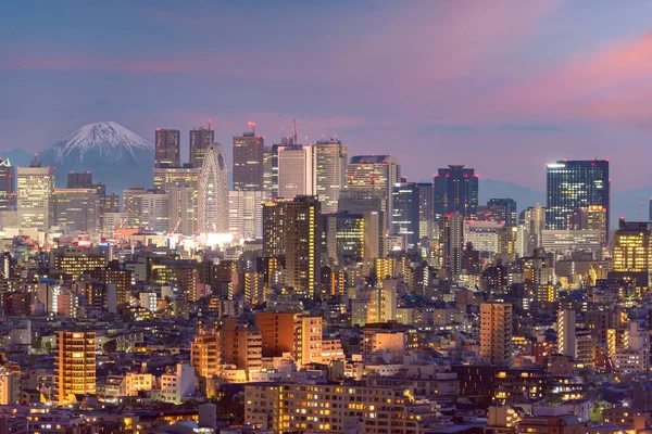 Tokyo Japonya Alacakaranlıkta Fuji Ile Şehir Manzarası — Stok fotoğraf