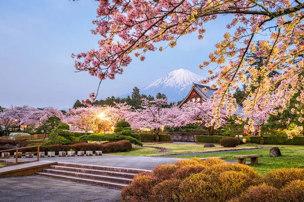 Fujinomiya Shizuoka Japan Met Fuji Tempels Het Voorjaar Schemering — Stockfoto