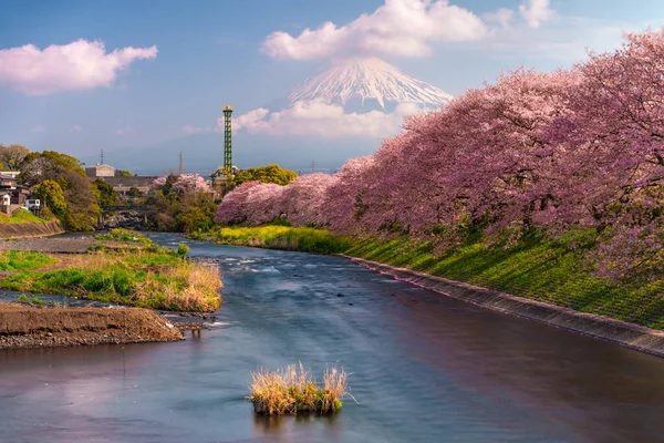 Fuji Japon Paysage Printanier Rivière — Photo