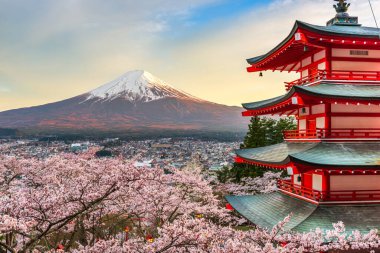 Fujiyoshida, Japan at Chureito Pagoda and Mt. Fuji in the spring with cherry blossoms. clipart