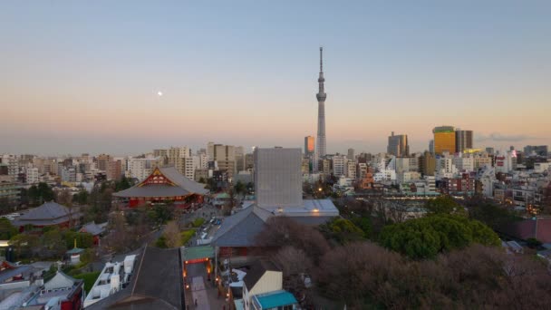 Tokio Japan Skyline Und Türme Tag Und Nacht — Stockvideo