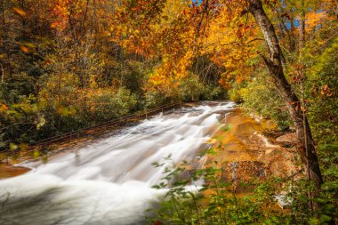 Kaygan Kaya Şelaleleri, Pisgah Ulusal Ormanı 'ndaki Looking Glass Creek' te sonbahar sezonunda ABD 'nin Kuzey Carolina kentinde..