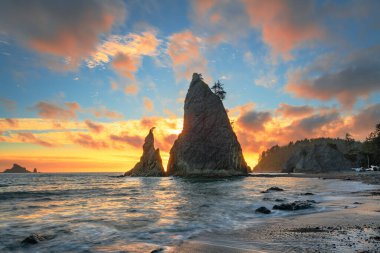 Olimpiyat Ulusal Parkı, Washington, ABD Gün batımında Rialto Sahili 'nde.