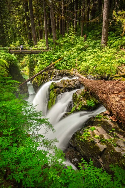 ドゥック滝 アメリカ合衆国ワシントン州オリンピック国立公園 — ストック写真
