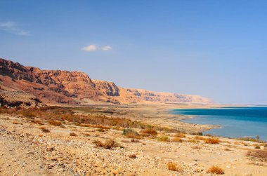 Ein Gedi, İsrail yakınlarındaki Ölü Deniz kıyısında.