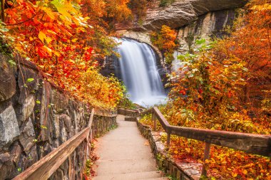 Kuzey Carolina, Pisgah Ulusal Ormanı 'nda Glass Falls' a bakıyorum..