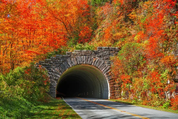 Blue Ridge Parkway Tunnel Pisgah National Forest Usa — Stock Photo, Image