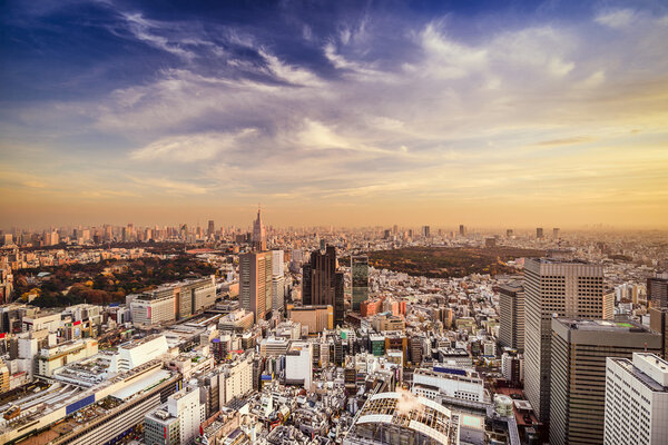 Tokyo, Japan city skyline at Shinjuku District.