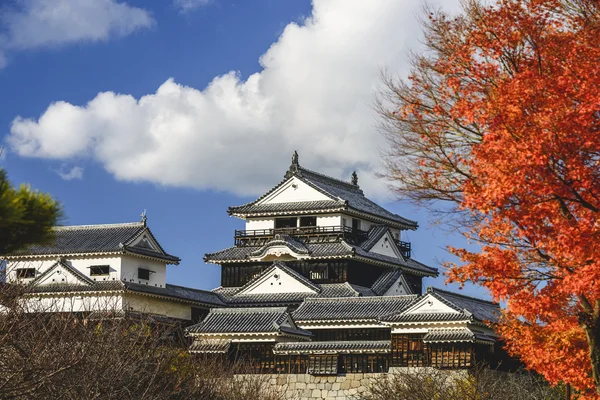 Matsuyama Castle — Stockfoto