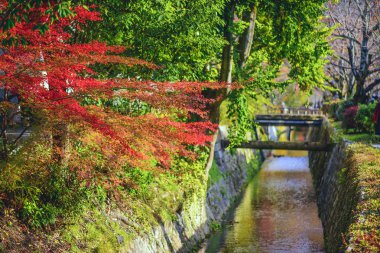 ścieżka jest w kyoto, Japonia