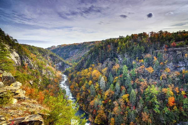 Tallulah Gorge na Geórgia — Fotografia de Stock