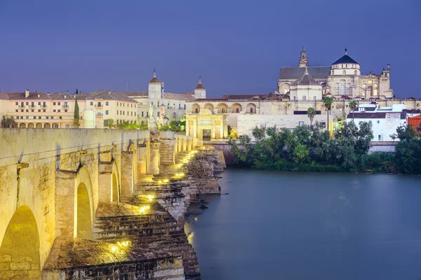 Cordoba, Spanje op de Romeinse brug en de moskee-kathedraal — Stockfoto