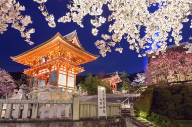 Kiyomizu-dera tapınak bahar