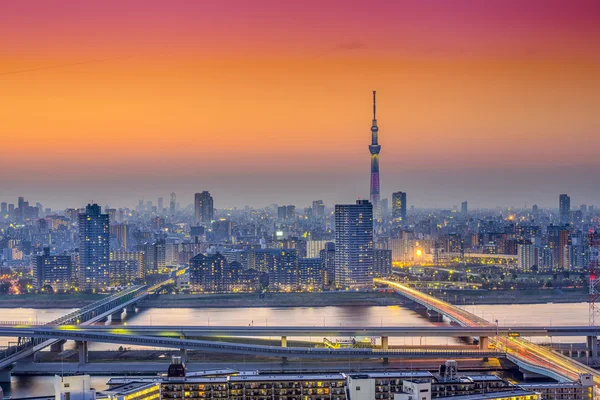 Tokyo, Japan Skyline van de stad in de schemering — Stockfoto
