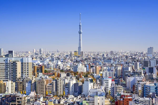 Zobacz panoramę miasta Tokio, Japonia — Zdjęcie stockowe