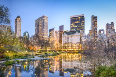 Central Park New York Şehri