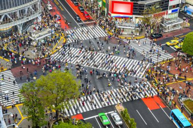 Shibuya, tokyo, Japonya