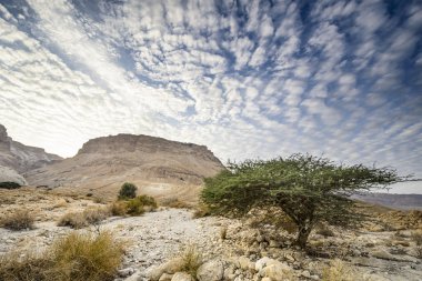 masada, İsrail