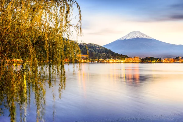 Mount fuji — Stockfoto