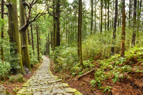 Kumano Kodo Sentier sacré japonais — Photo